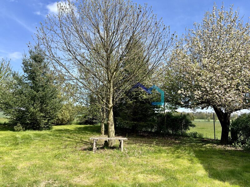 Prodej stavebního pozemku 3538 m², Březovice u Hořic v Podkrkonoší