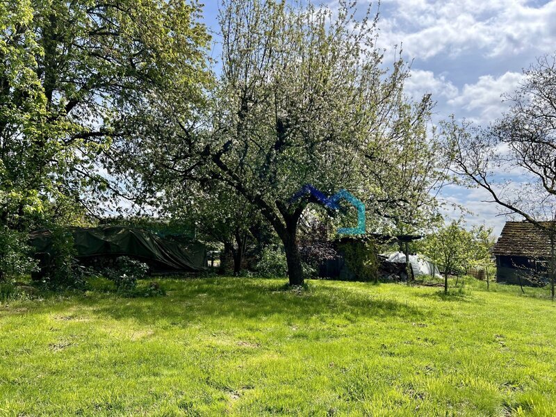 Prodej stavebního pozemku 3538 m², Březovice u Hořic v Podkrkonoší