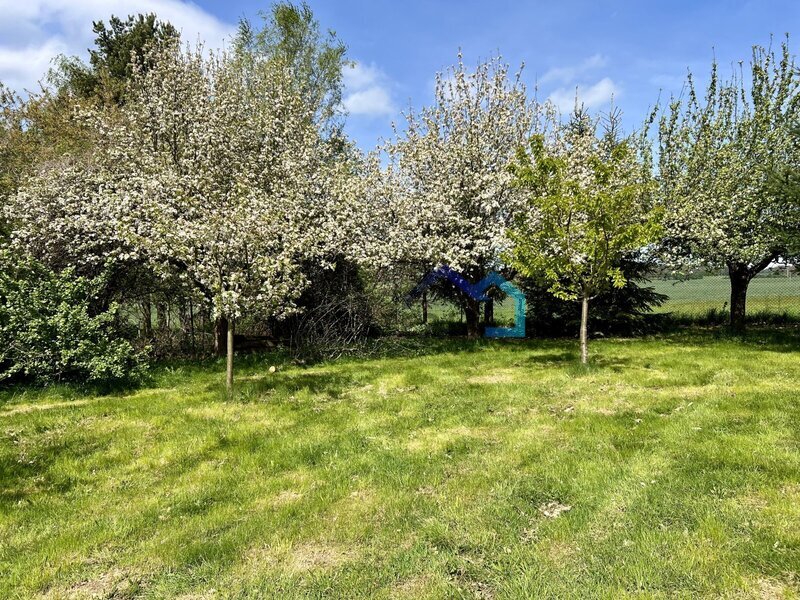 Prodej stavebního pozemku 3538 m², Březovice u Hořic v Podkrkonoší